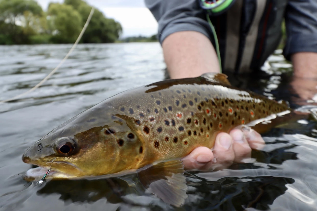 Mastering Euro Nymphing: The Ultimate Guide for Trout Fishing