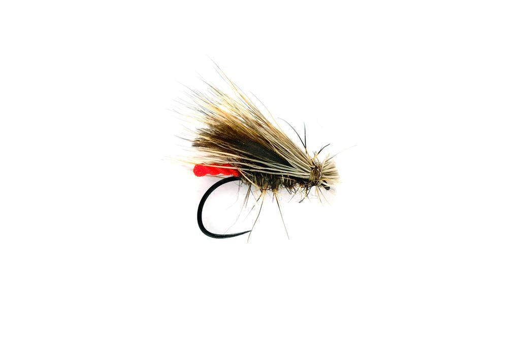 CHAMPIONSHIP CADDIS BARBLESS