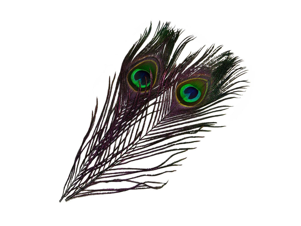 Frodin Flies - SNS Peacock Eye Feathers