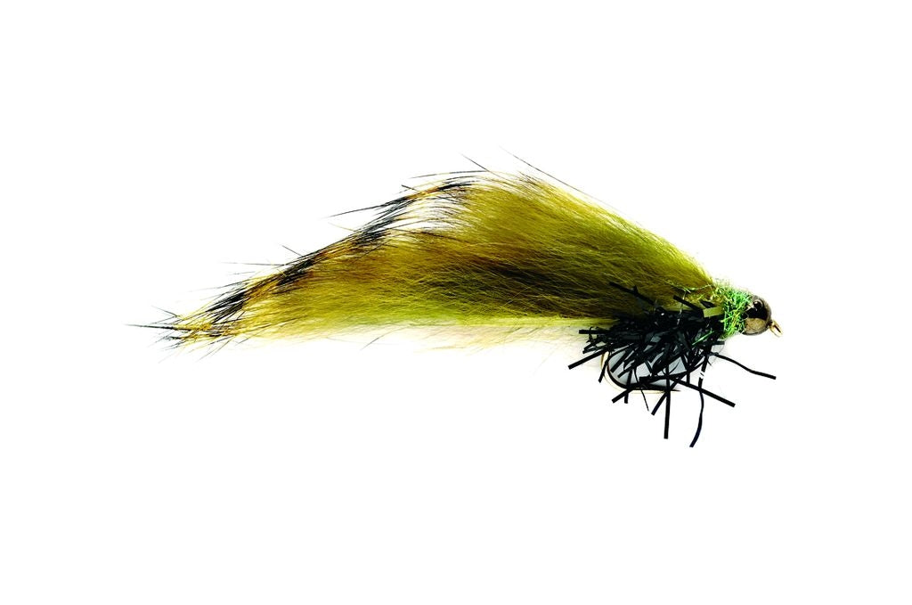 BLACK TIPPED OLIVE ZONKER