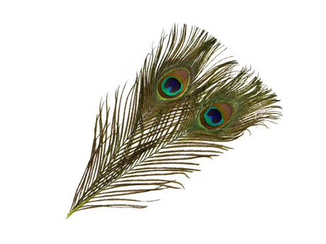 Frodin Flies - SNS Peacock Eye Feathers