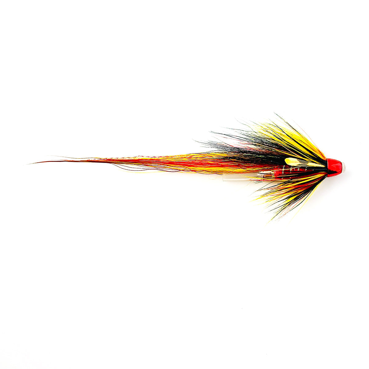 CH CASCADE RED WILLIE GUNN