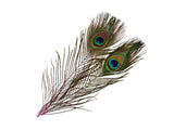 Frodin Flies - SNS Peacock Eye Feathers