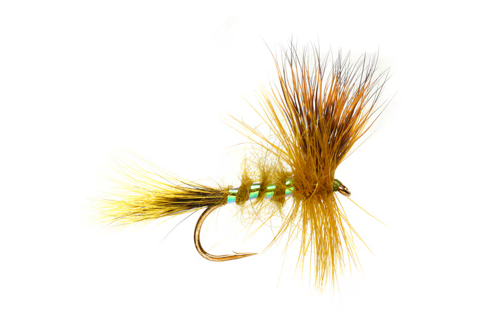 JACKIE'S DRY PEARLY MAYFLY CORRIB