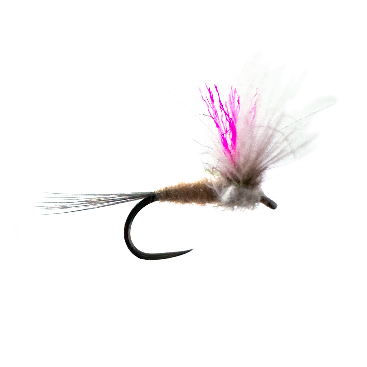 Parachute Pink Albert 